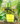 Armaf Hunter Jungle EDP